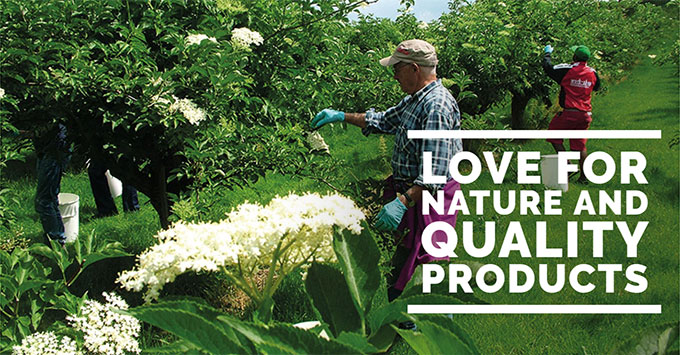 Love for nature and quality products: Holderhof Produkte