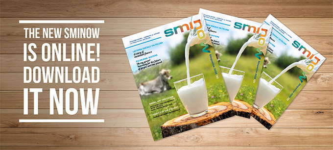 The new SMI NOW is online. Download it now!