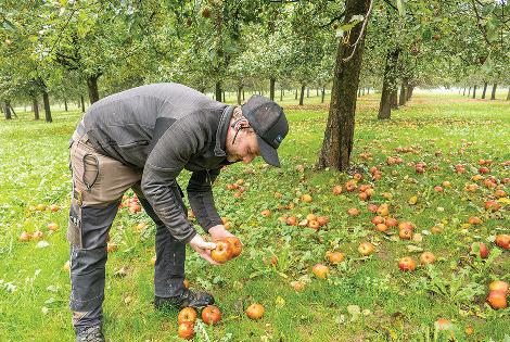 Suiza: Holderhof Produkte