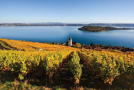 Suiza: Holderhof Produkte