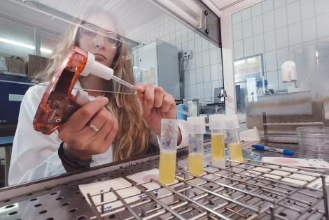Italia: Latteria Soresina