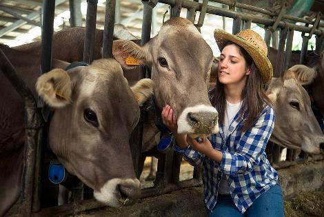 Italia: Latteria Sociale Valtellina